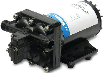 BLASTER II PUMP 24V