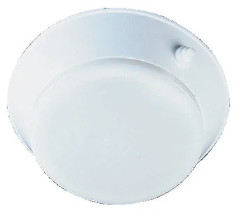 DOME LIGHT