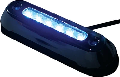 LED SS BEZEL OVAL LIGHT UW BLU