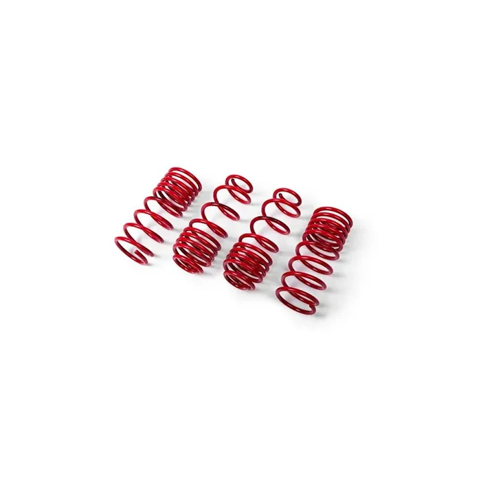 MTS Technik Abarth Fiat Performance Springs – MTSXFI086 Lowering Springs – Set