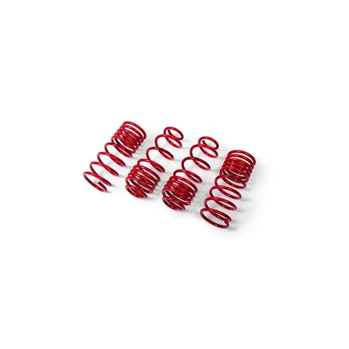 MTS Technik Audi Performance Springs – MTSXAU267 Lowering Springs – Set