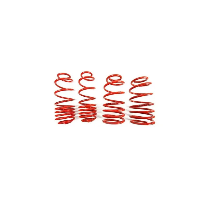 MTS Technik Audi Seat Volkswagen Performance Springs – MTSXVW177 Lowering Springs – Set