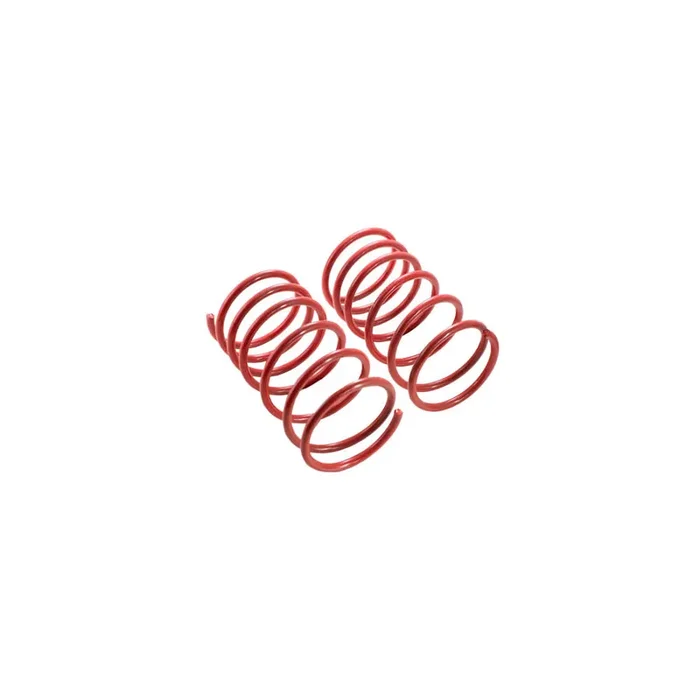 MTS Technik BMW Performance Springs – MTSXBM065 Lowering Springs – Set