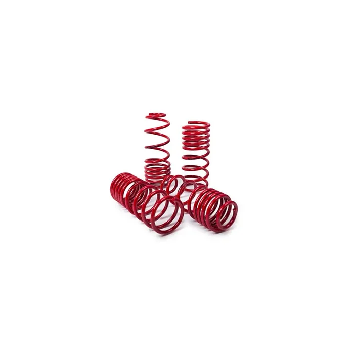 MTS Technik Volkswagen Performance Springs – MTSXVW441 Lowering Springs – Set
