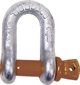 SHACKLE-D ANCHOR GALV 1-1/4IN