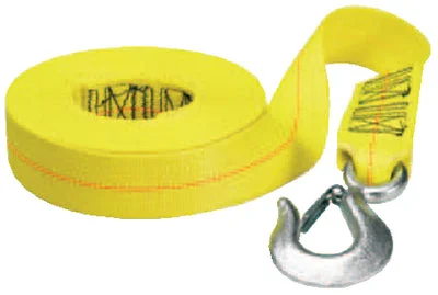 WINCH STRAP 2″X 20′
